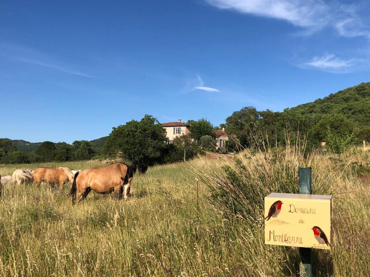 La Tour-sur-Orb Domaine De Montbarri Bed & Breakfast エクステリア 写真