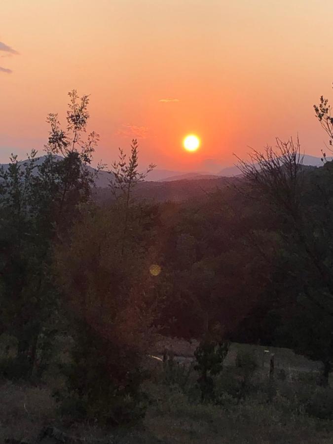 La Tour-sur-Orb Domaine De Montbarri Bed & Breakfast エクステリア 写真