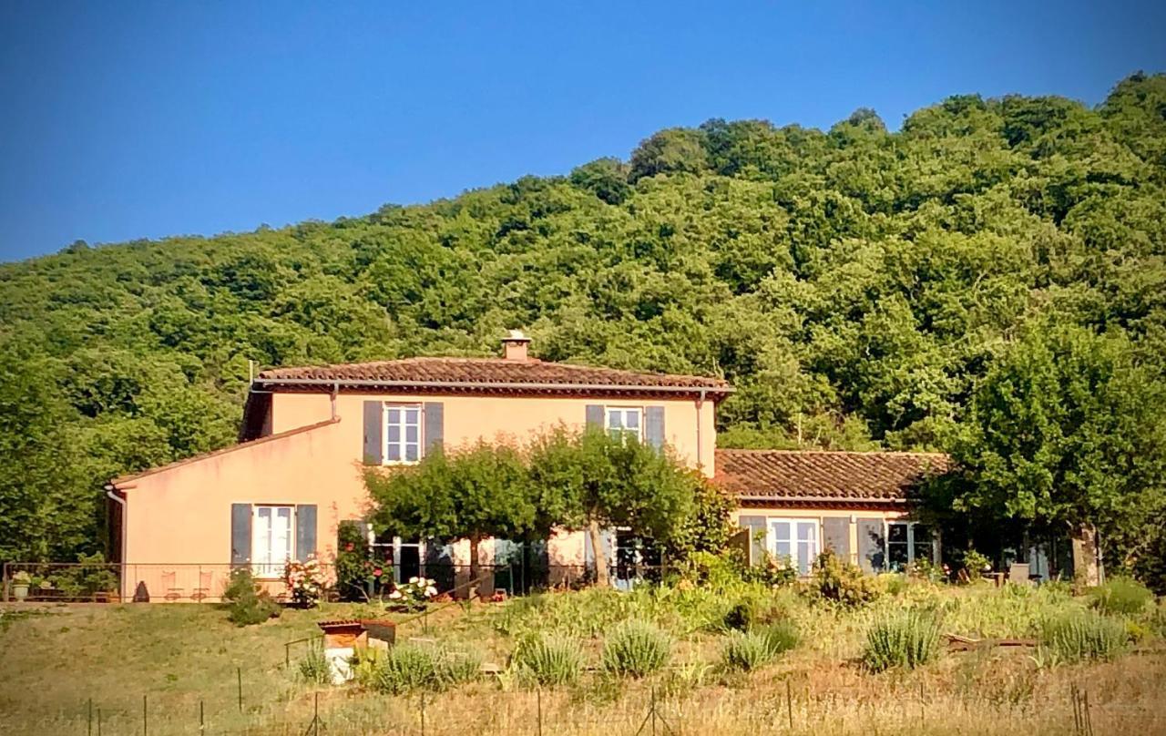 La Tour-sur-Orb Domaine De Montbarri Bed & Breakfast エクステリア 写真